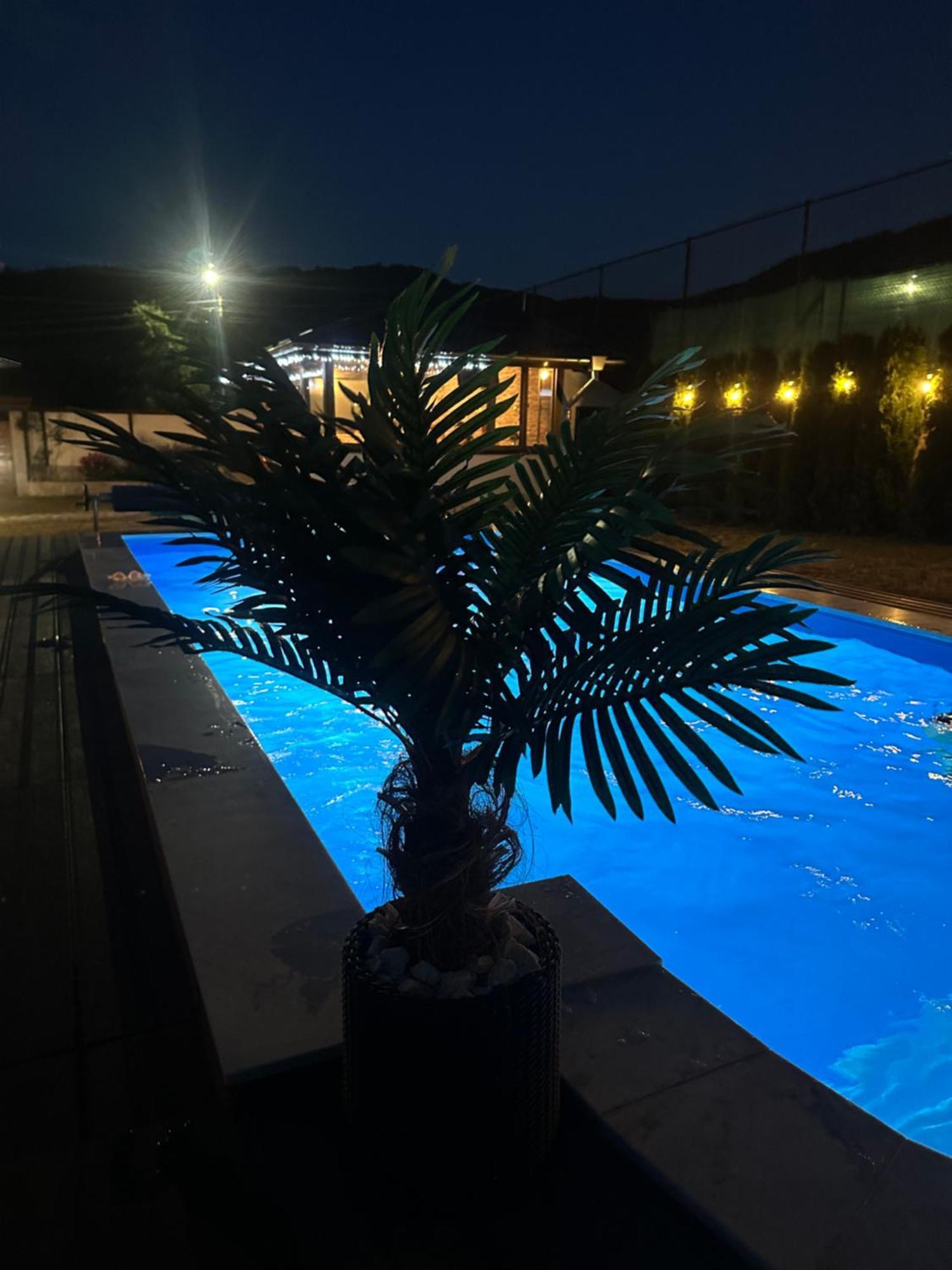 Villa Paradise بيلي اسكار المظهر الخارجي الصورة