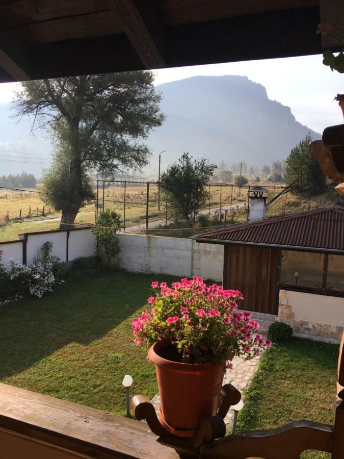 Villa Paradise بيلي اسكار المظهر الخارجي الصورة